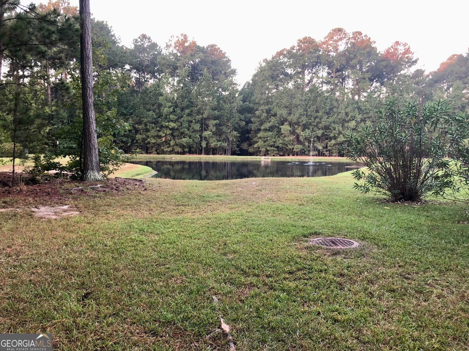 292 Silver Brook Circle Pooler - Photo 26