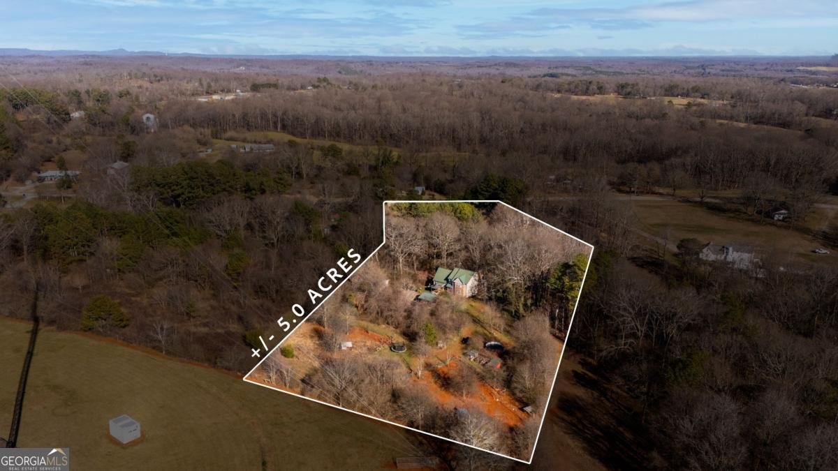 7540 County Line Road Lula - Photo 10