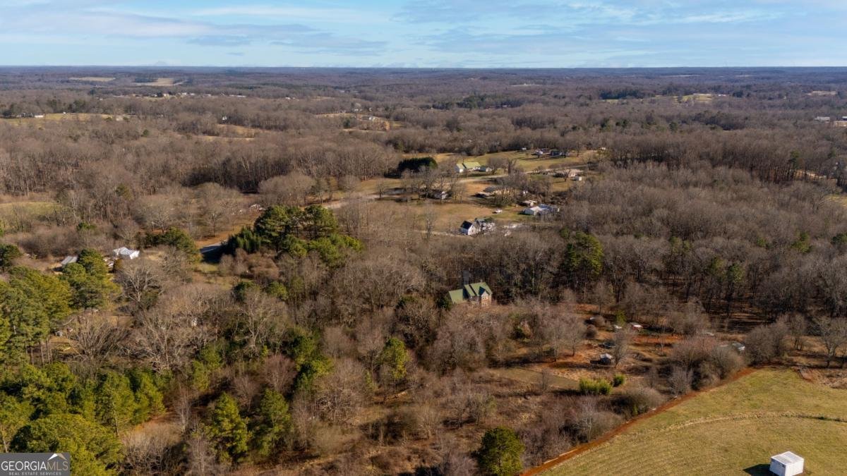 7540 County Line Road Lula - Photo 60