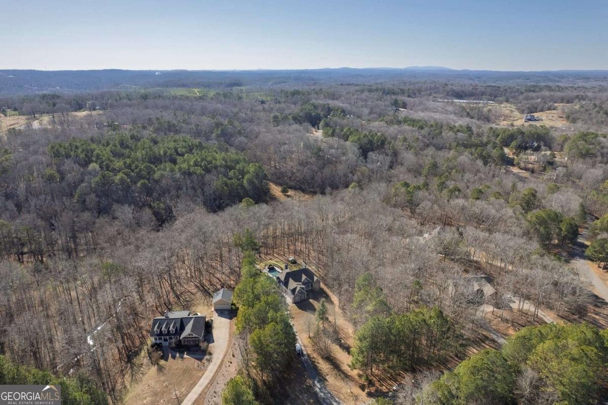 410 Gold Rush Trail Ball Ground - Photo 55