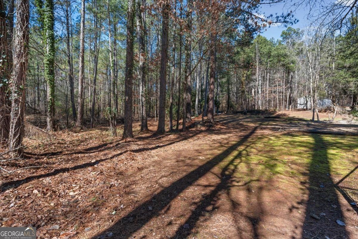 360 Chestnut Drive Covington - Photo 44