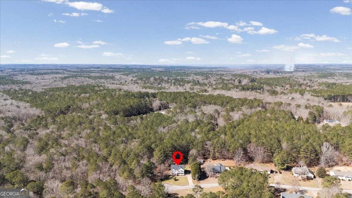 360 Chestnut Drive Covington - Photo 50