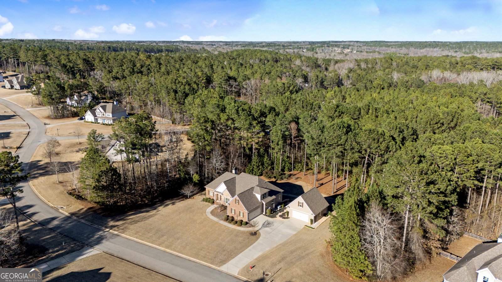 89 Fox Hall Crossing Senoia - Photo 33