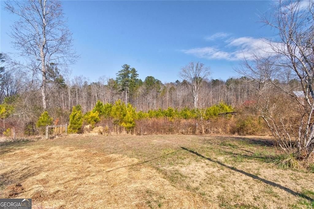 7315 Freeman Road Dawsonville - Photo 12