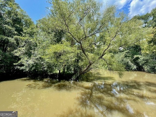 837 Linger Long Road Sylvania - Photo 19