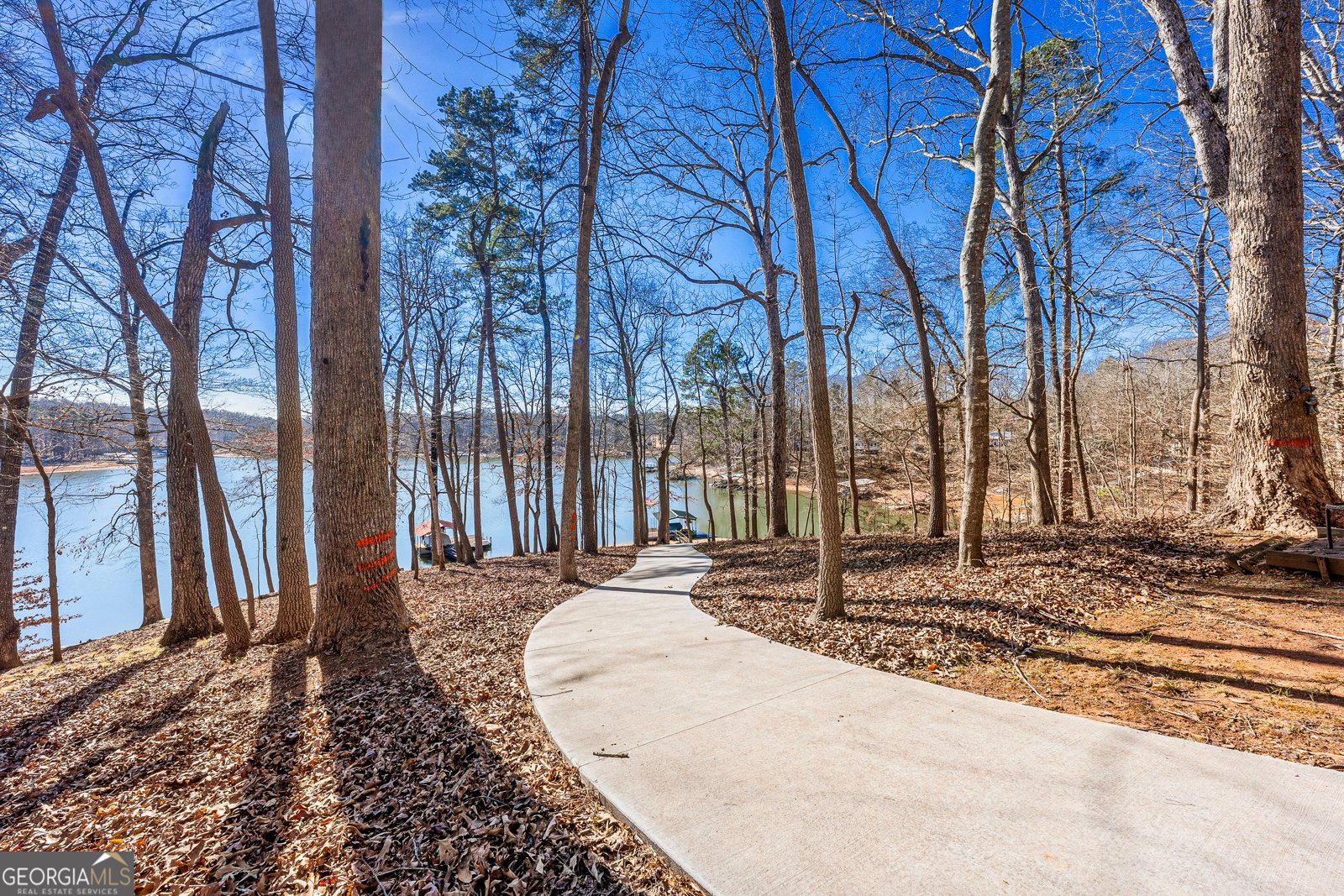 999 Rue Fleur De Lis Lavonia - Photo 25