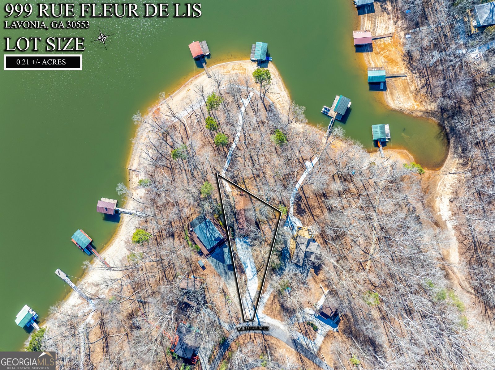 999 Rue Fleur De Lis Lavonia - Photo 27