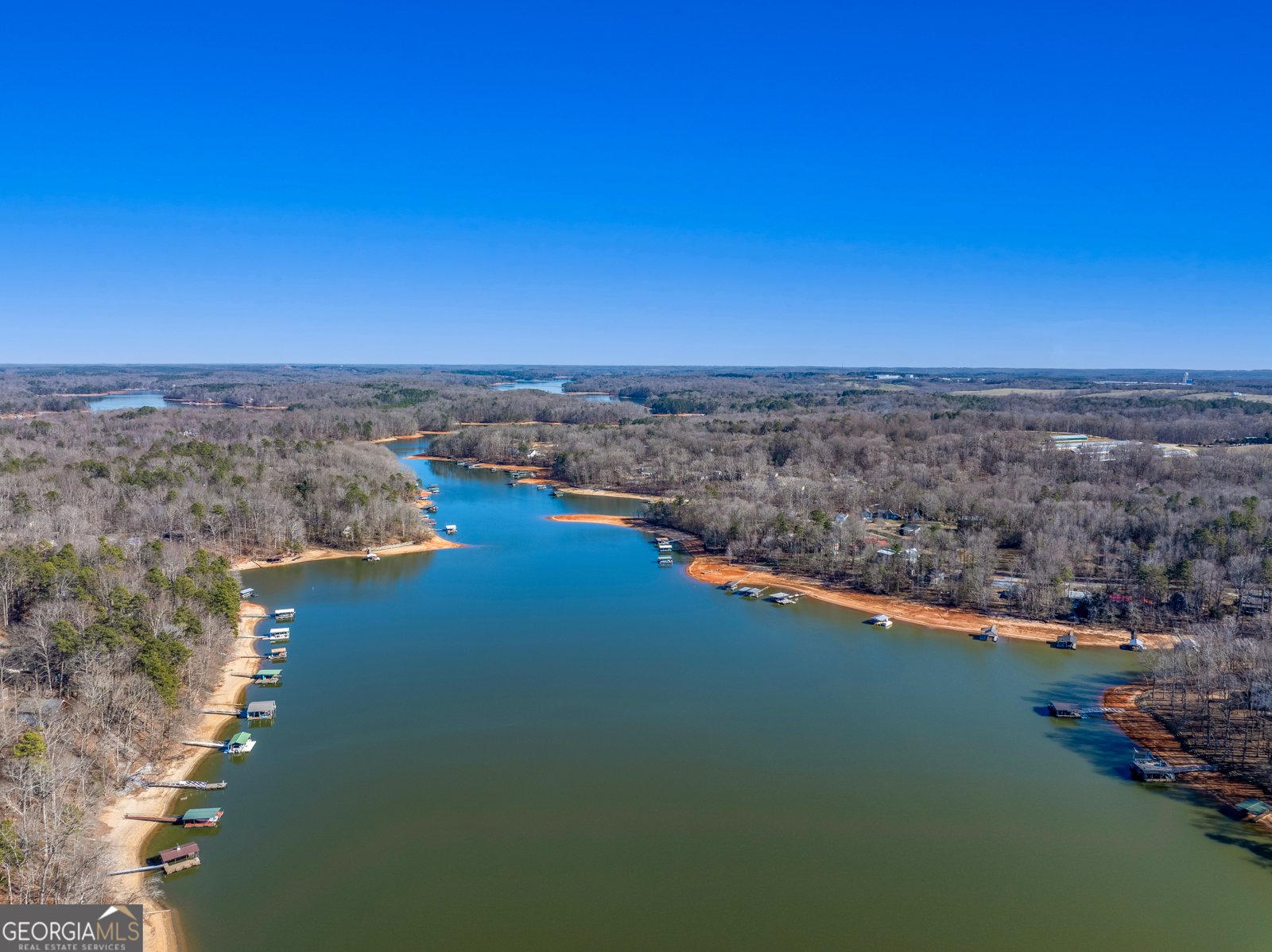 999 Rue Fleur De Lis Lavonia - Photo 29