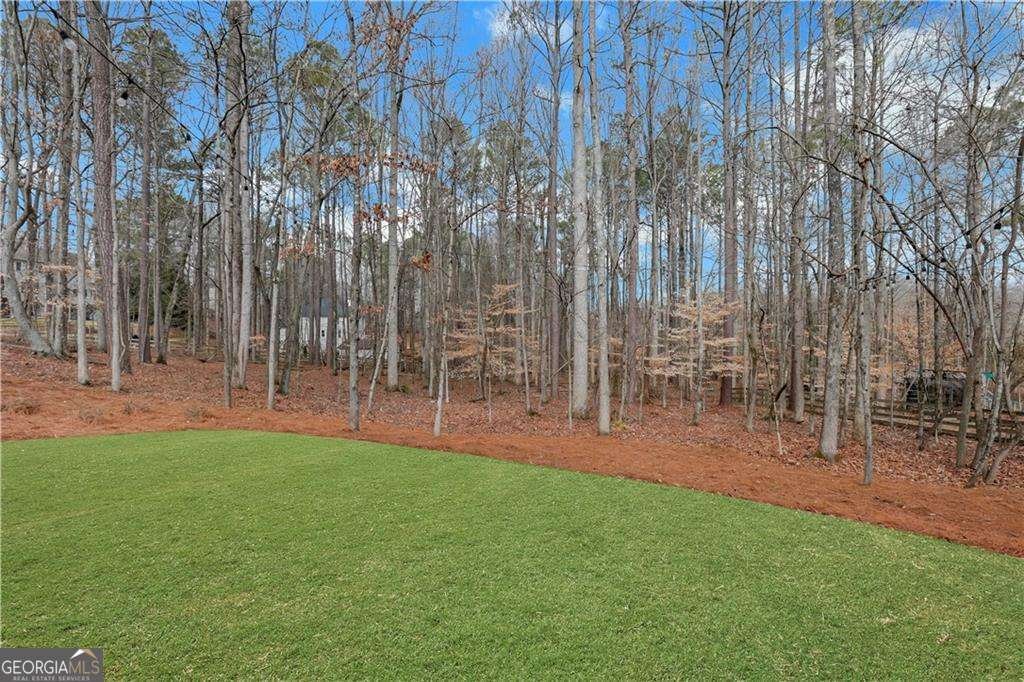 835 Longwood Lane Alpharetta - Photo 73