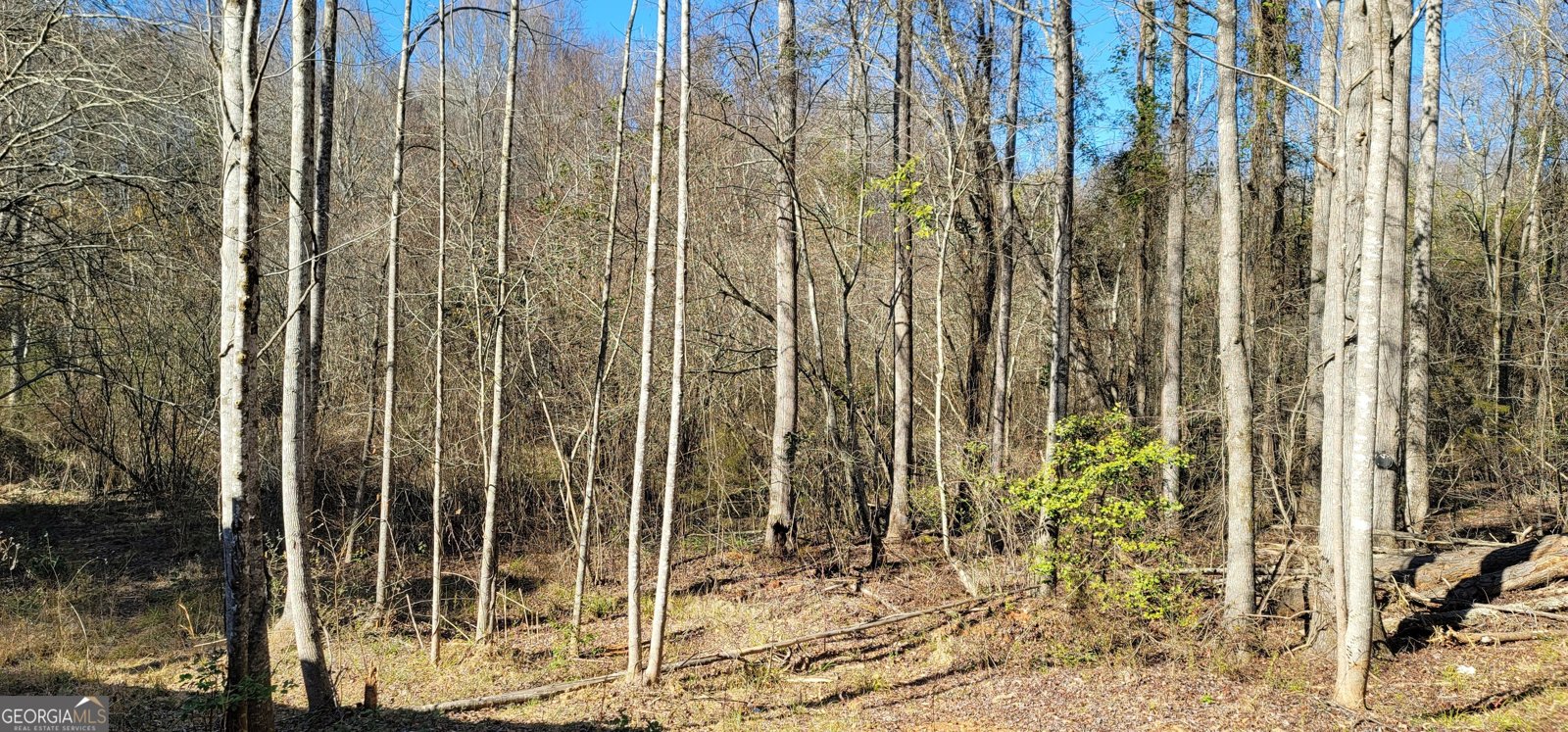 2220 O W Adams Dewy Rose - Photo 29