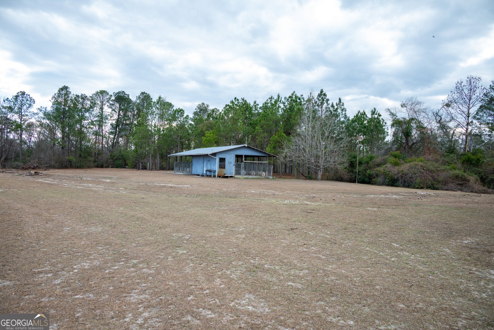 963 Springhill Church Road Alamo - Photo 73