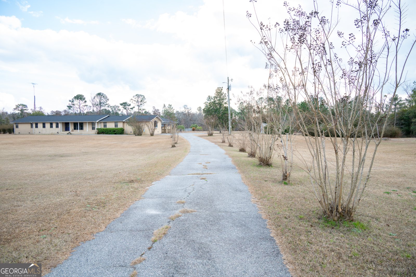 963 Springhill Church Road Alamo - Photo 77