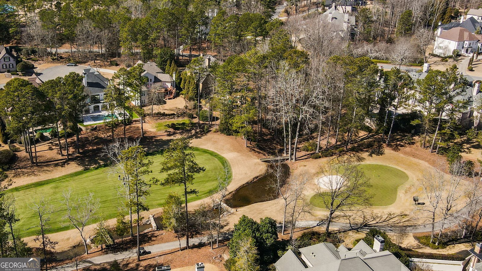 6025 Carlisle Lane Johns Creek - Photo 93