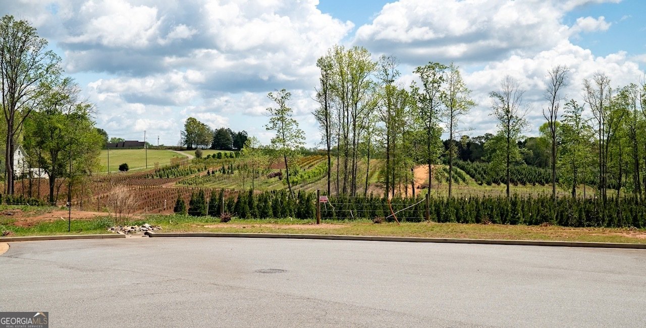 6505 Trailway Trace Cumming - Photo 26