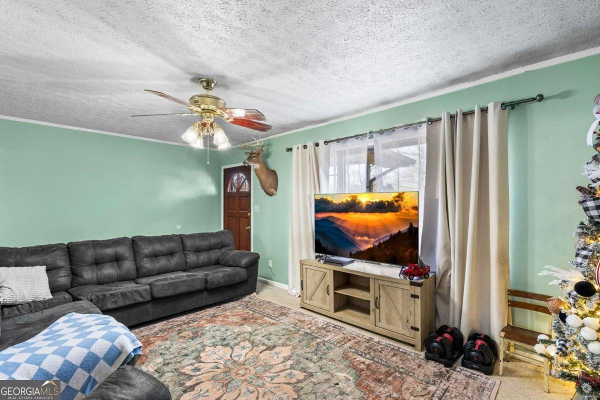 2906 Douthit Road Mineral Bluff - Photo 11