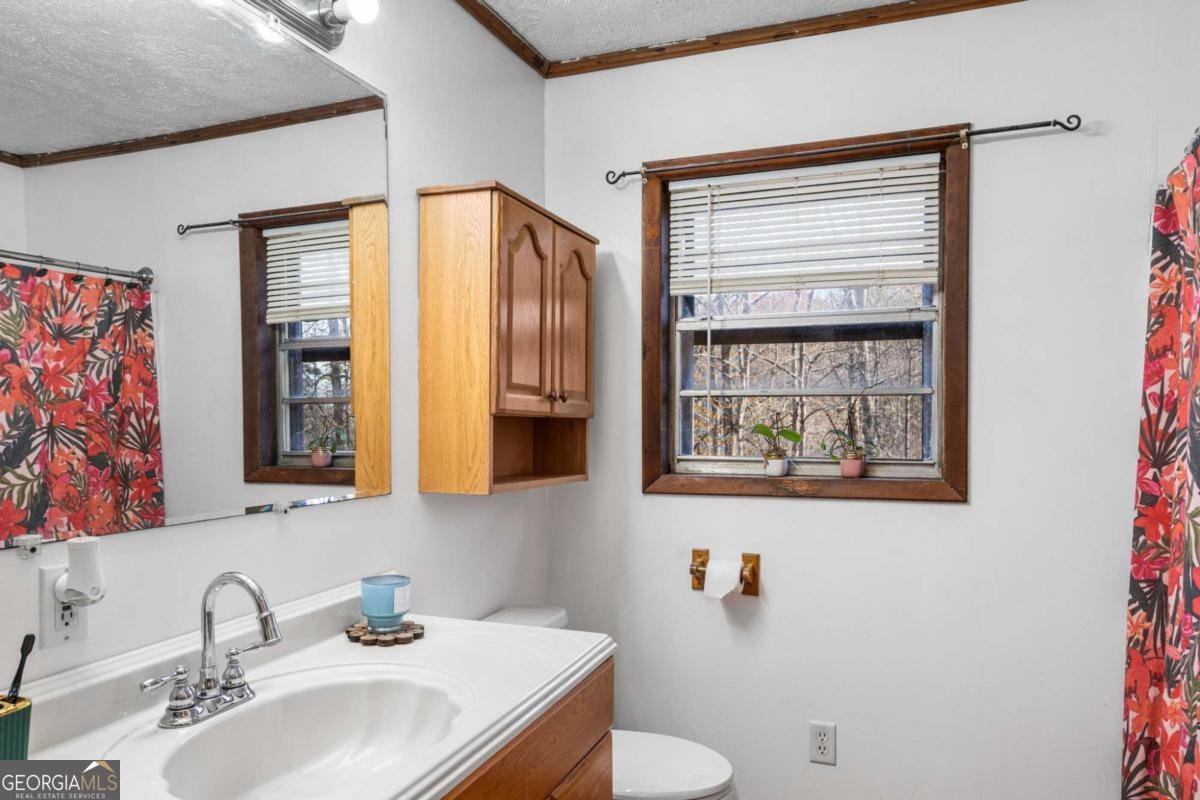 2906 Douthit Road Mineral Bluff - Photo 23