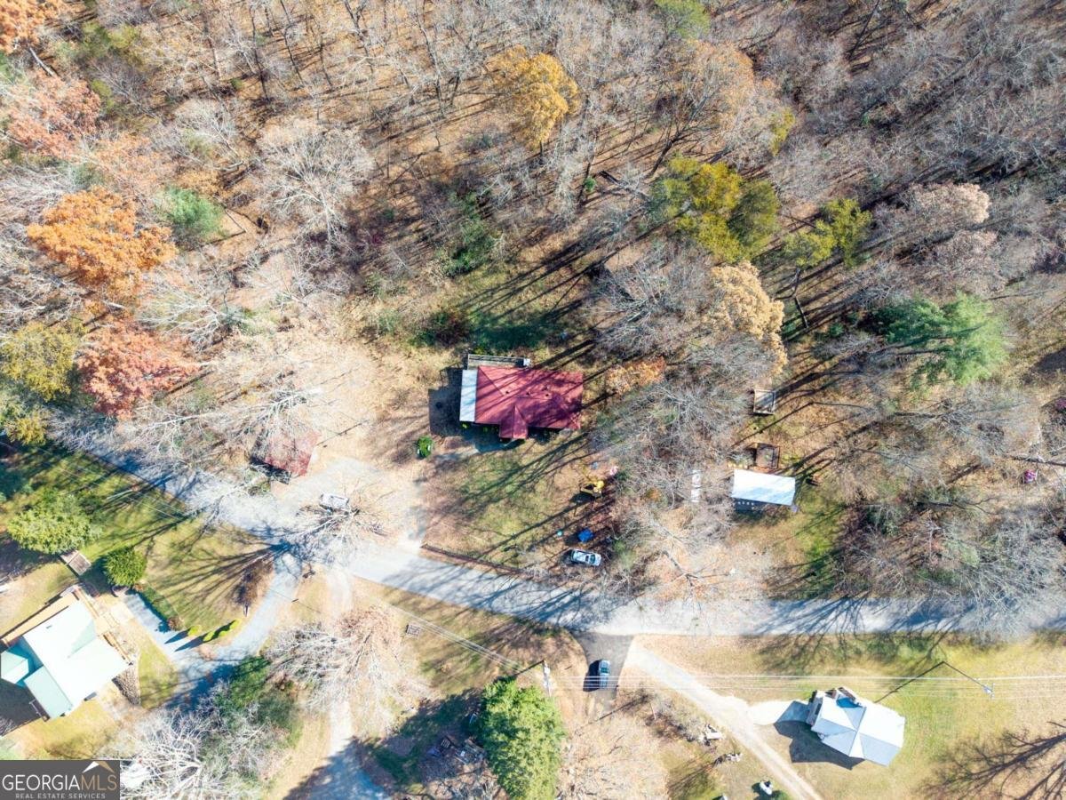 2906 Douthit Road Mineral Bluff - Photo 36