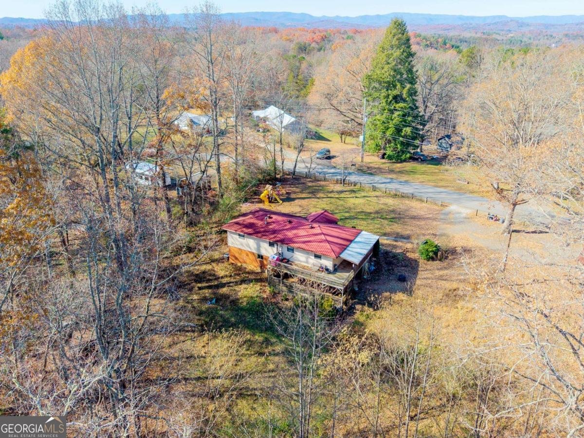 2906 Douthit Road Mineral Bluff - Photo 37