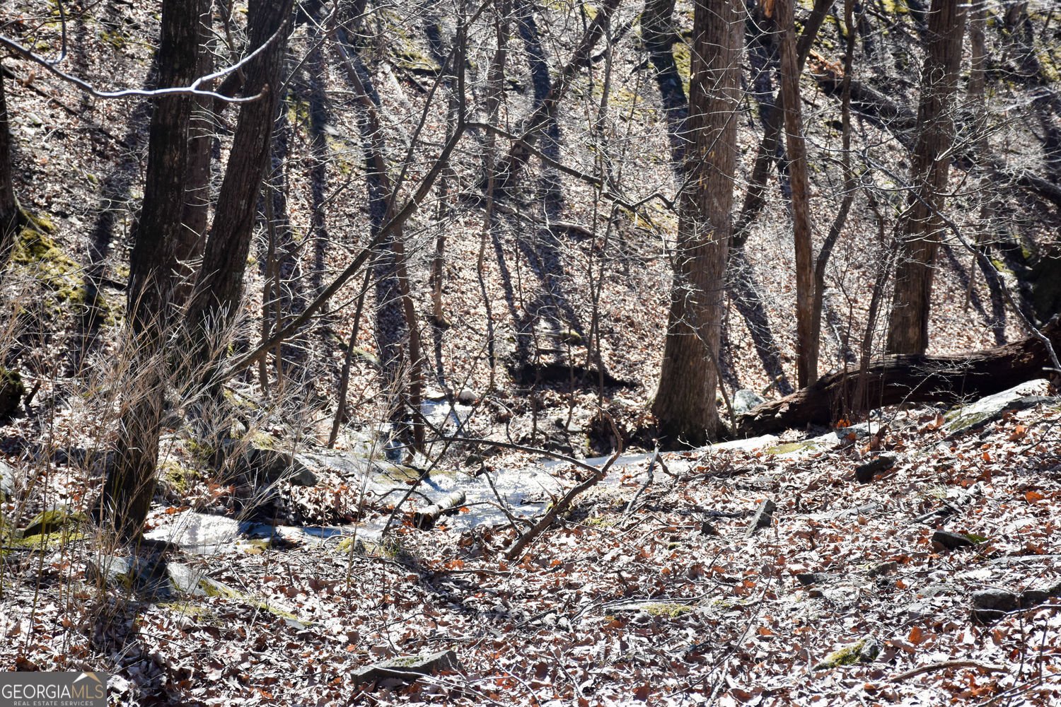 716 Moss Patch Trail Jasper - Photo 25