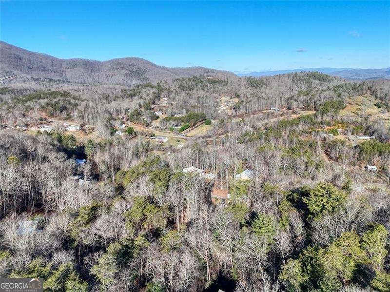 6710 Morgan Drive Young Harris - Photo 40