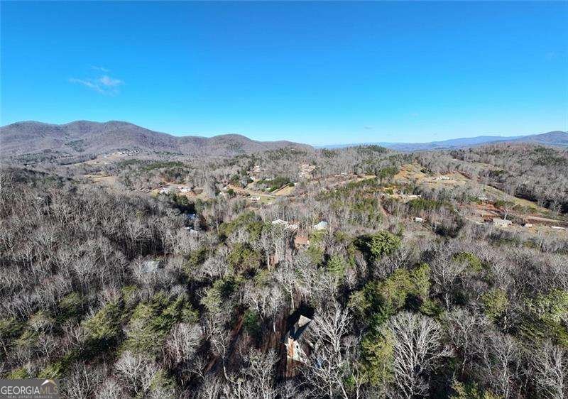 6710 Morgan Drive Young Harris - Photo 41