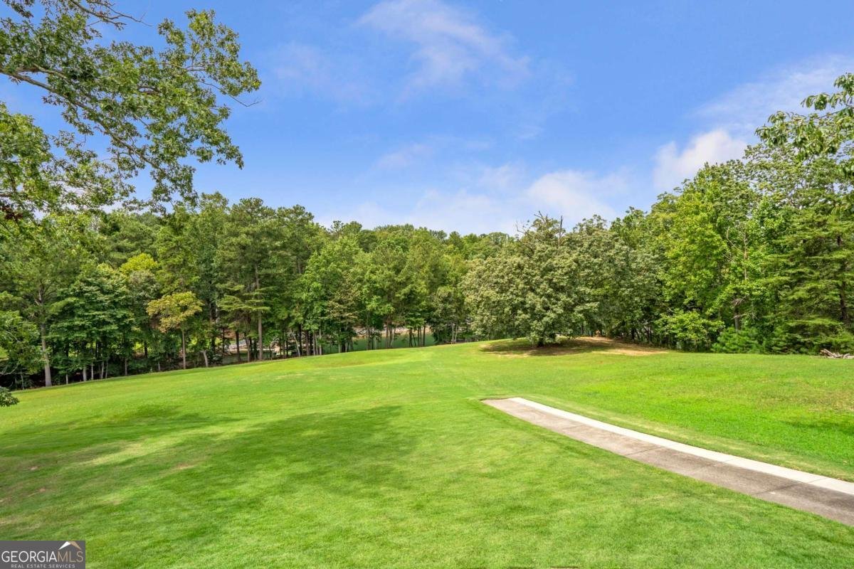 6026 GC Crow Road Flowery Branch - Photo 54