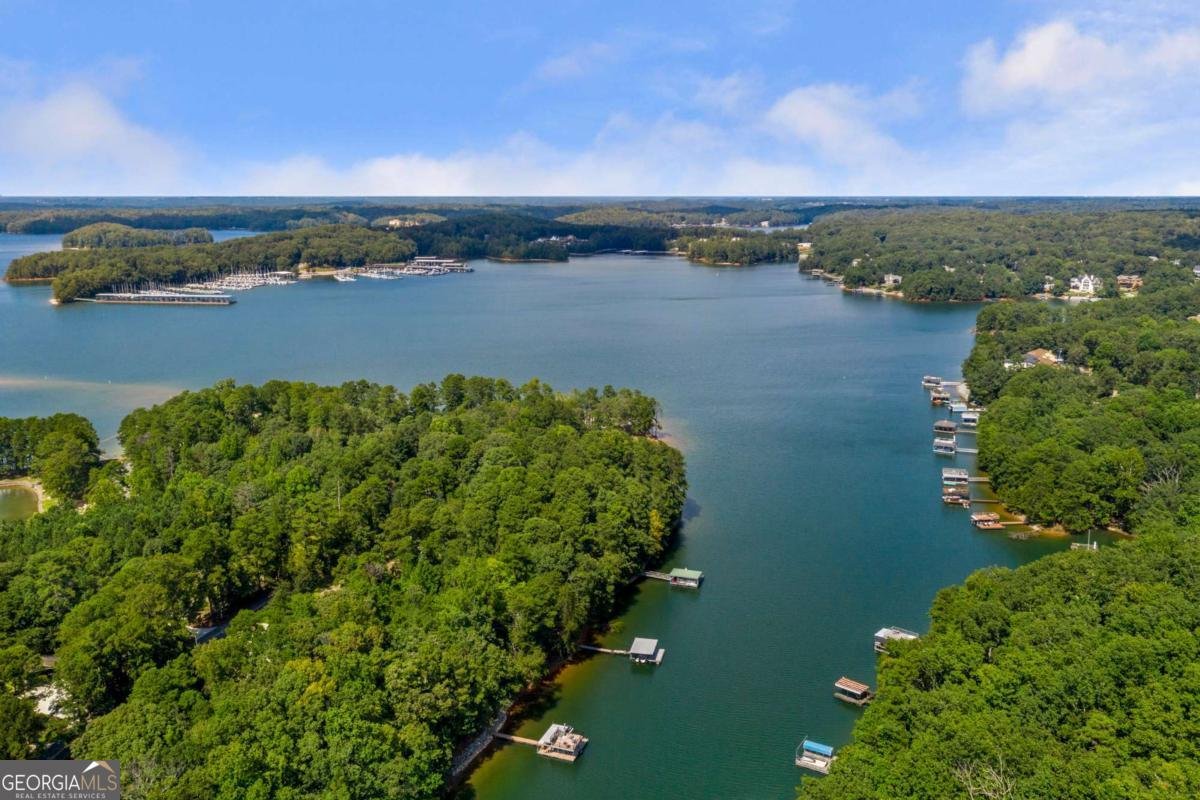 6026 GC Crow Road Flowery Branch - Photo 61