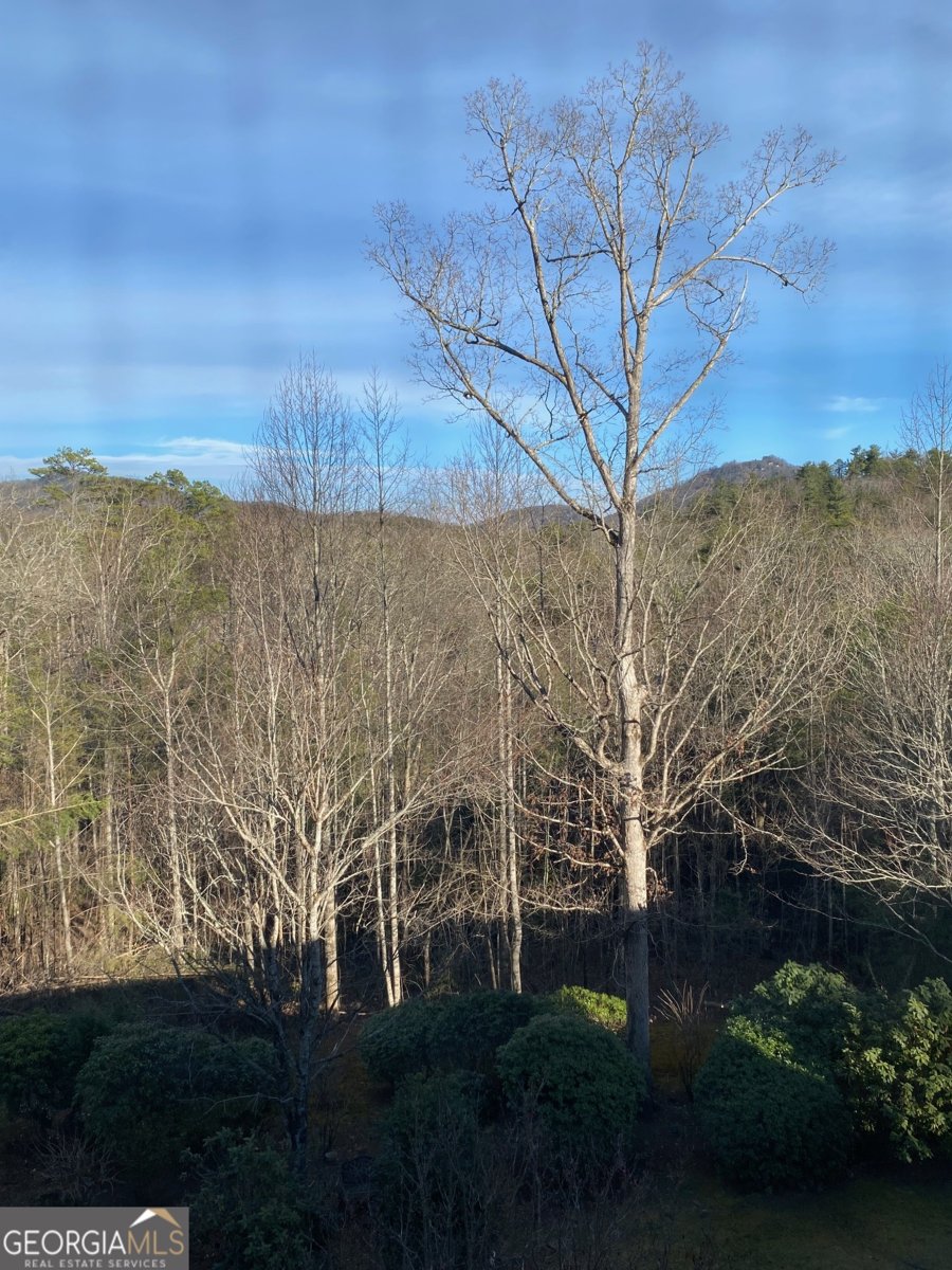 300 Ginger Creek Lane Clayton - Photo 10