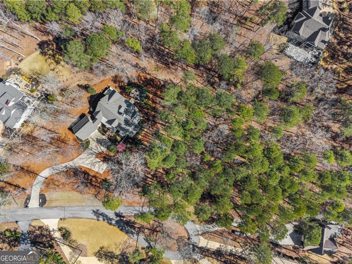 1020 Liberty Bluff Lane Greensboro - Photo 62