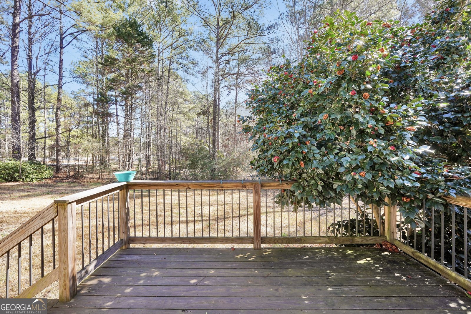 31 Willow Creek Drive Locust Grove - Photo 17