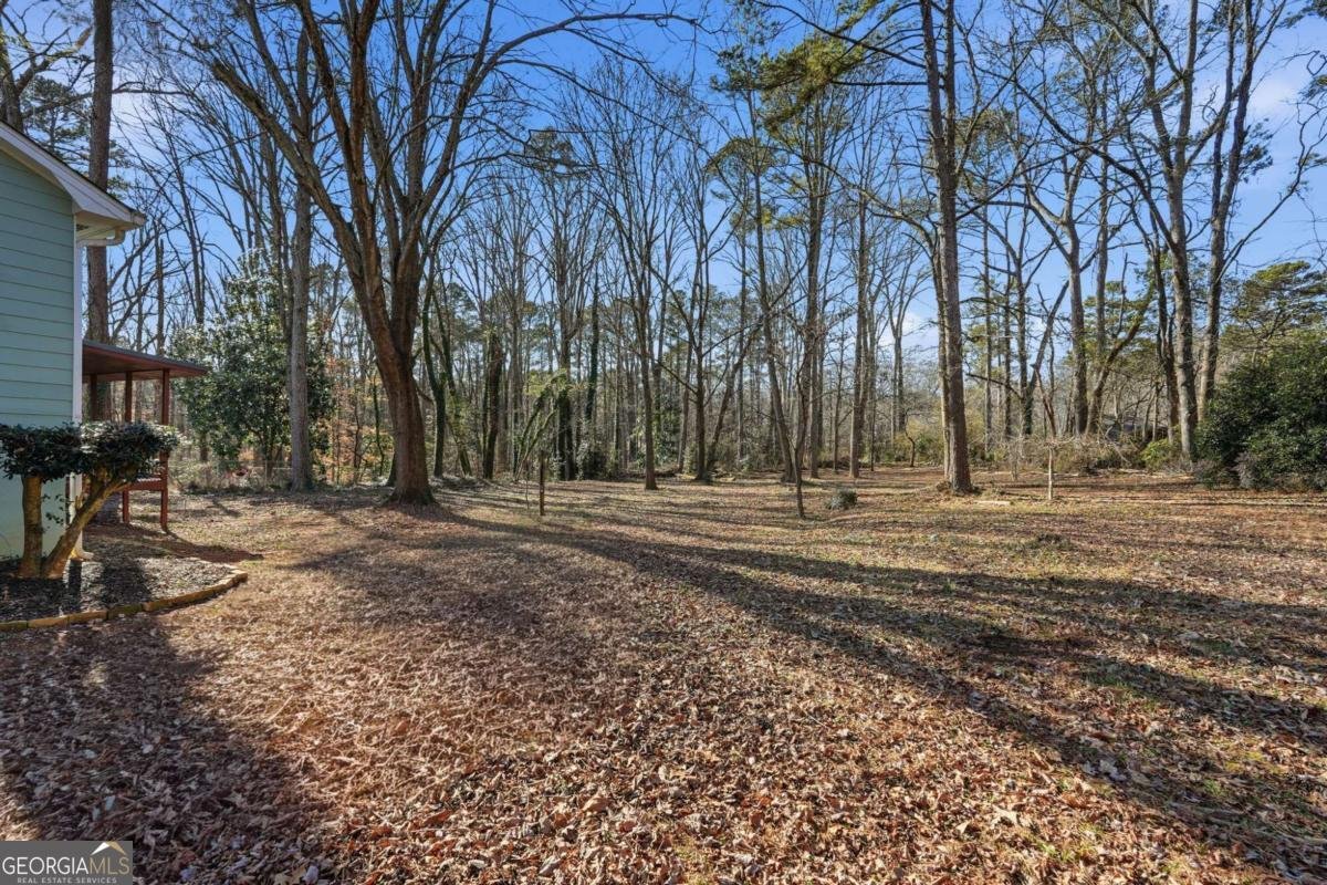 4225 Hidden Meadow Circle Buford - Photo 20