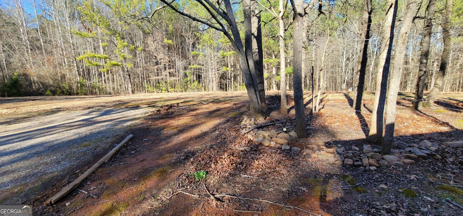 19145 Ga Highway 100 Franklin - Photo 16