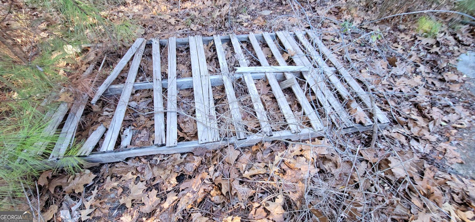 19145 Ga Highway 100 Franklin - Photo 35