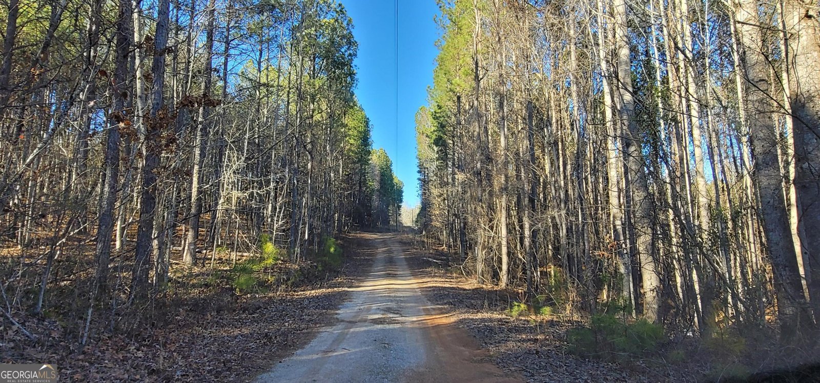 19145 Ga Highway 100 Franklin - Photo 38