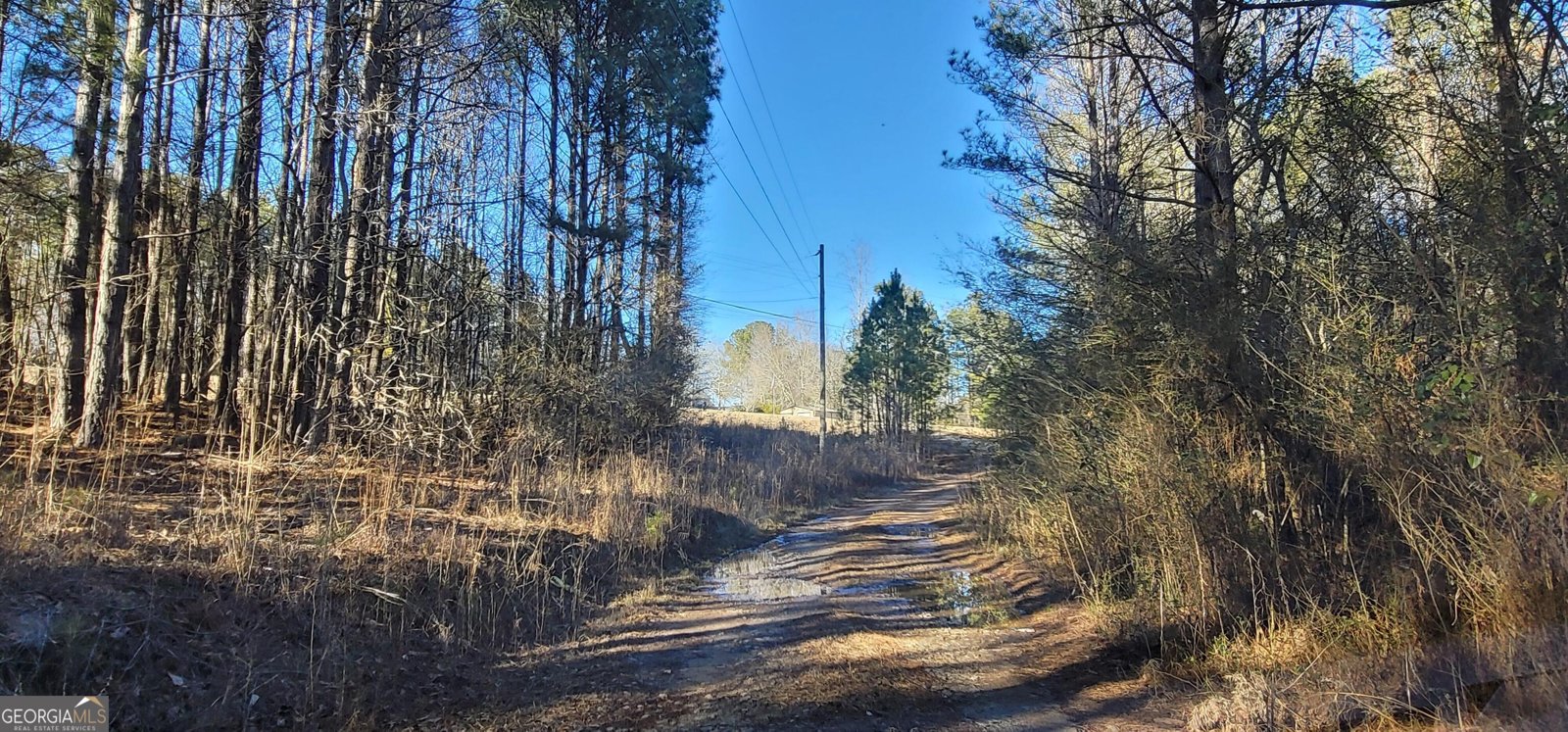 19145 Ga Highway 100 Franklin - Photo 39