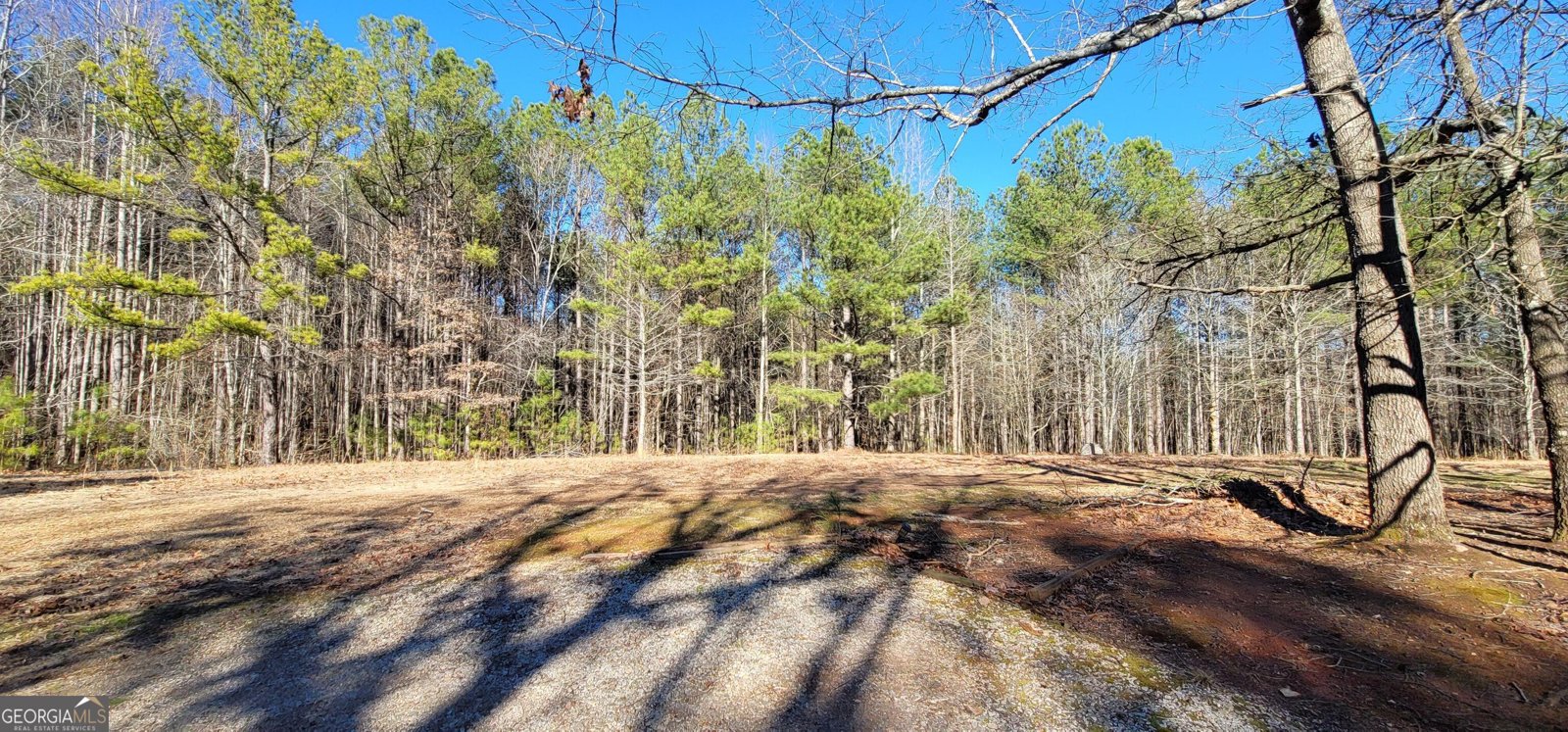 19145 Ga Highway 100 Franklin - Photo 41