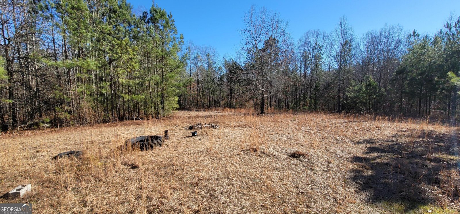 19145 Ga Highway 100 Franklin - Photo 45