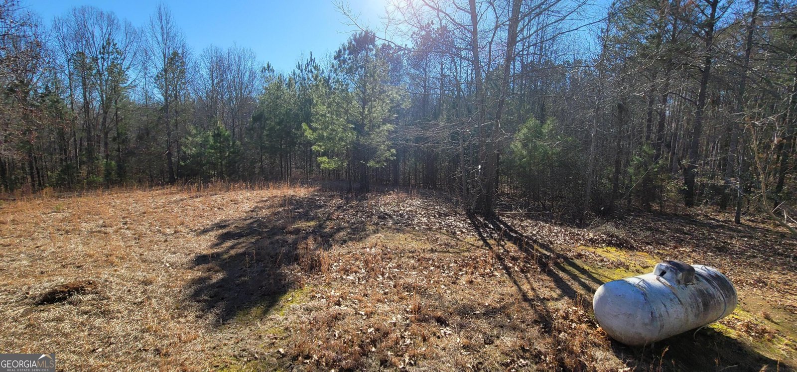 19145 Ga Highway 100 Franklin - Photo 7