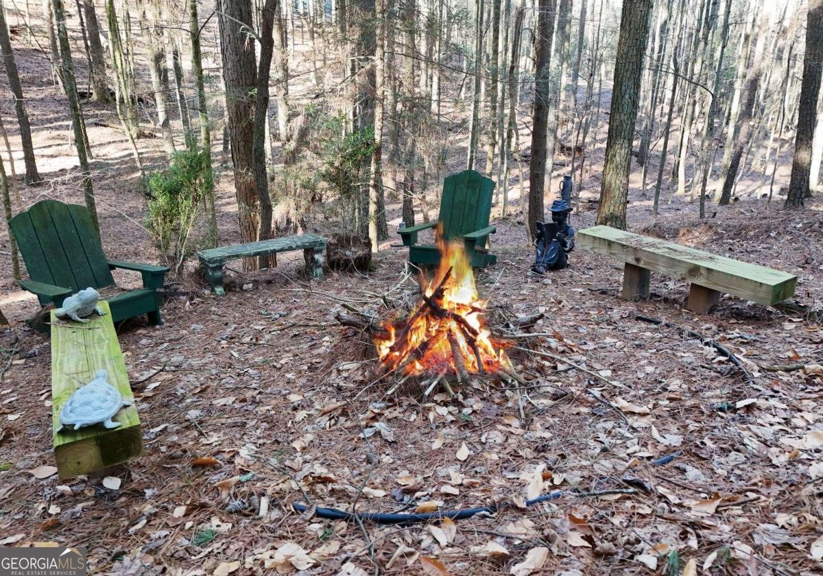 63 Misty Oaks Court Ellijay - Photo 55