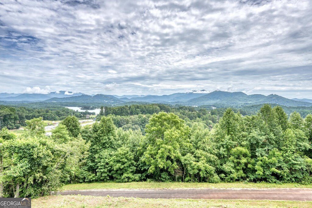 1513 Honey Bee Ridge Hiawassee - Photo 11