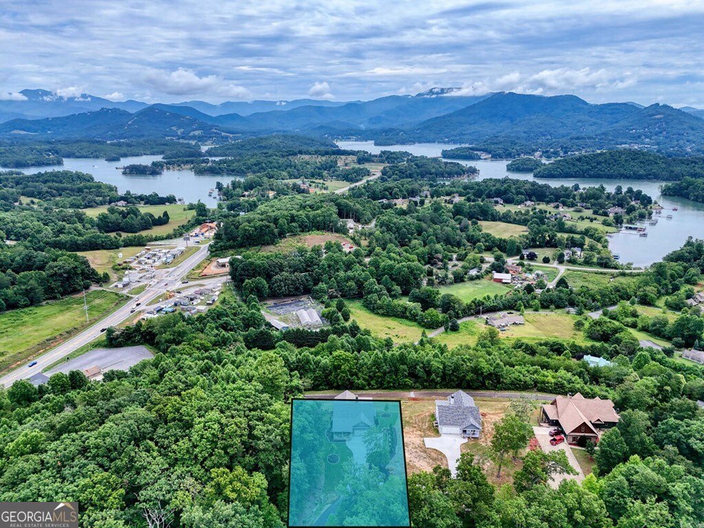 1513 Honey Bee Ridge Hiawassee - Photo 43