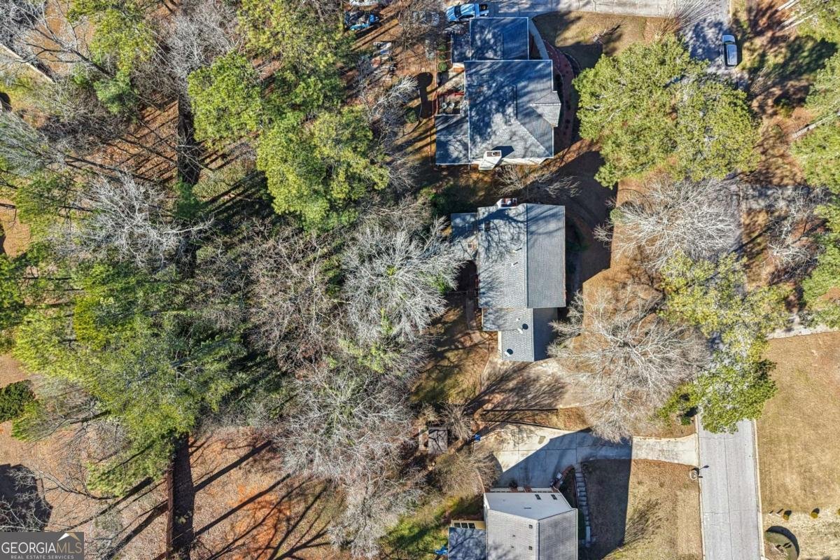 241 Sarah Lane Lawrenceville - Photo 60