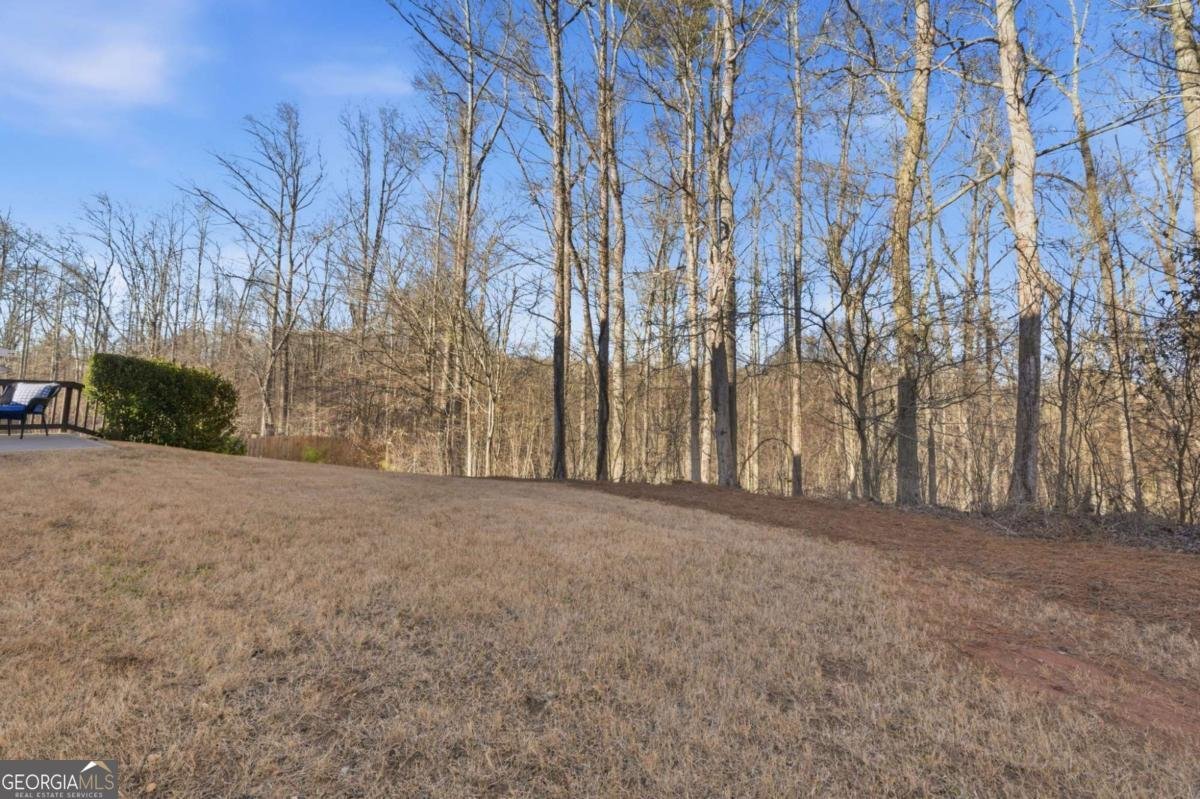 4240 Spring Ridge Drive Cumming - Photo 33