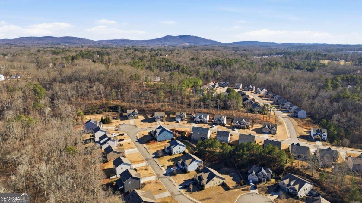 4240 Spring Ridge Drive Cumming - Photo 38