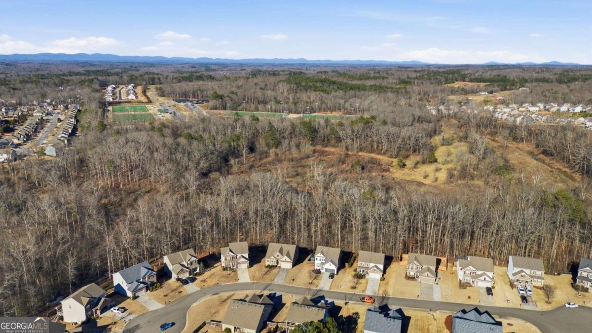 4240 Spring Ridge Drive Cumming - Photo 40