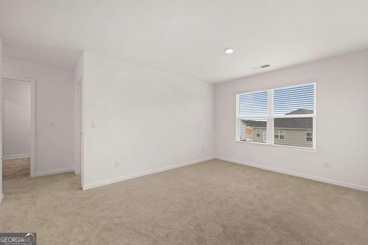 822 Trillium Drive Locust Grove - Photo 33