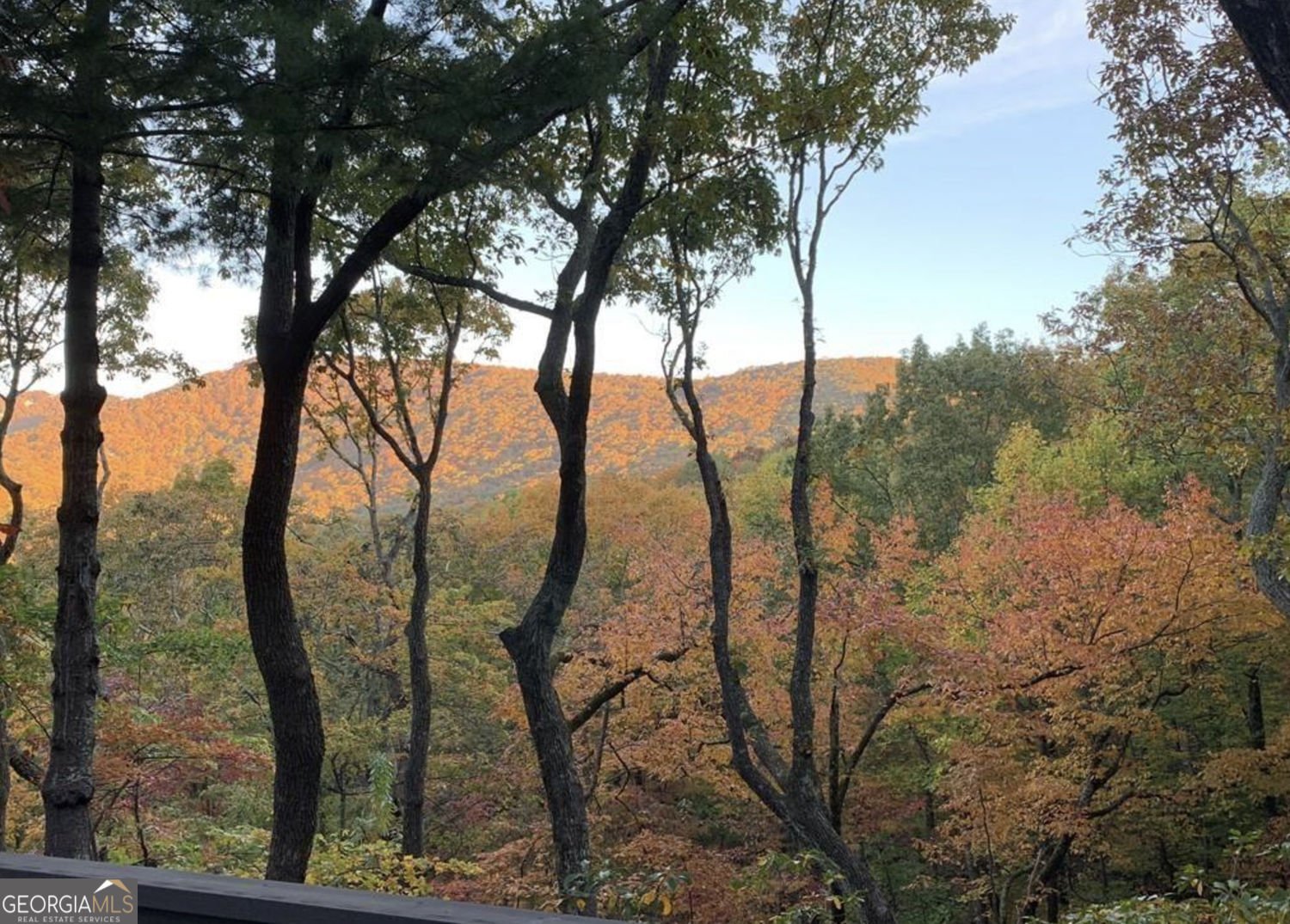 288 Tea Berry Lane Jasper - Photo 37