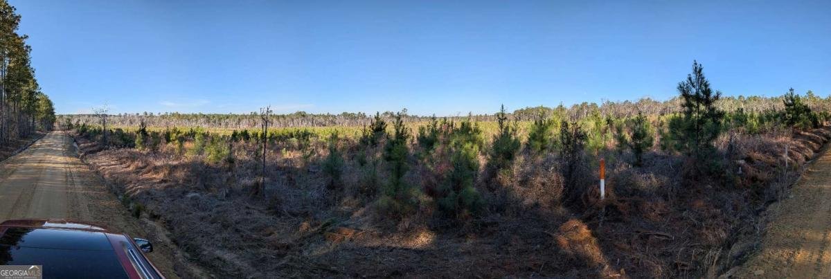 40 Drew Bennett Road Midville - Photo 29