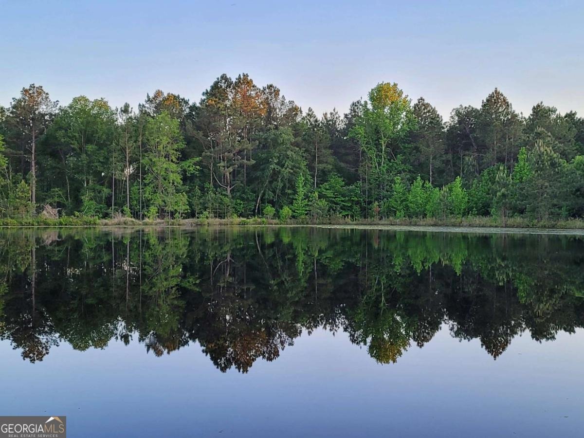 40 Drew Bennett Road Midville - Photo 31