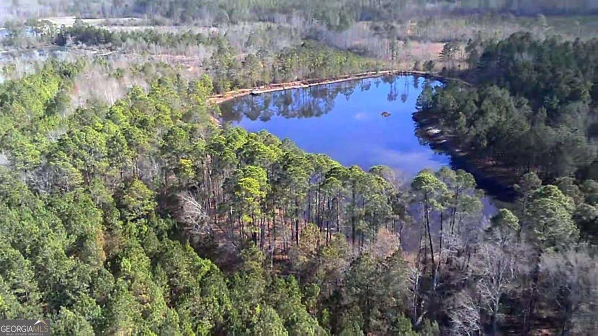 40 Drew Bennett Road Midville - Photo 33